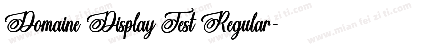 Domaine Display Test Regular字体转换